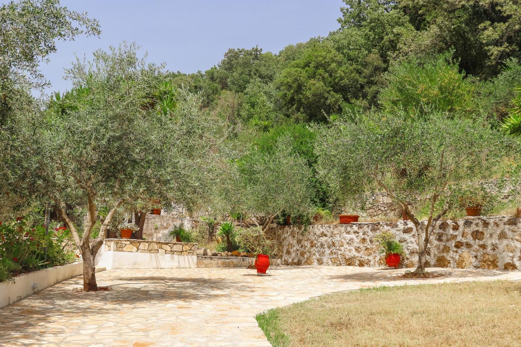 Villa Sissy Studios & Apartments Sivota  Ngoại thất bức ảnh