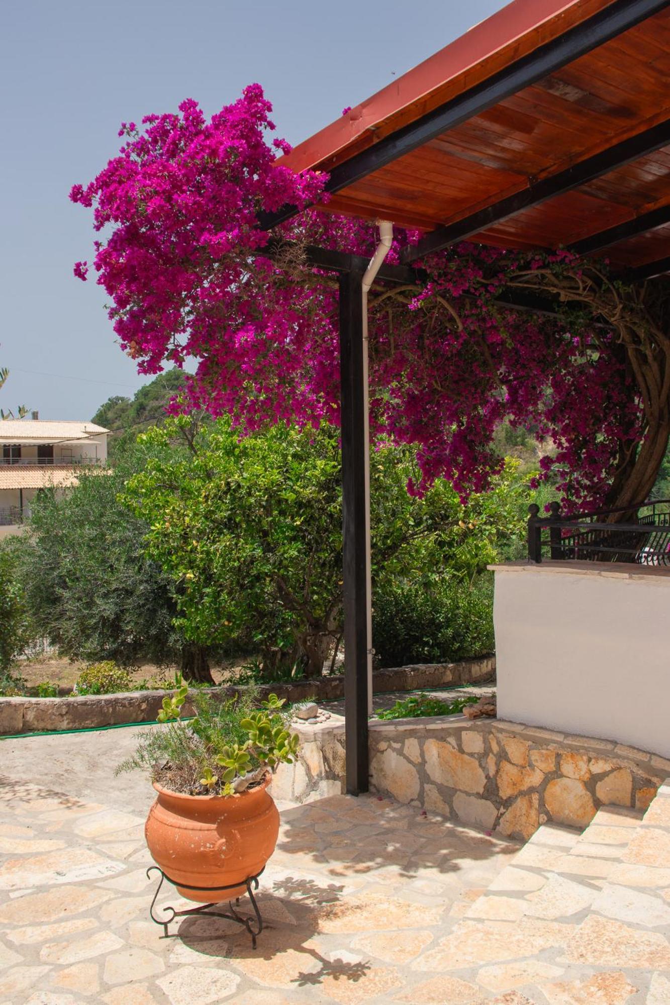 Villa Sissy Studios & Apartments Sivota  Ngoại thất bức ảnh